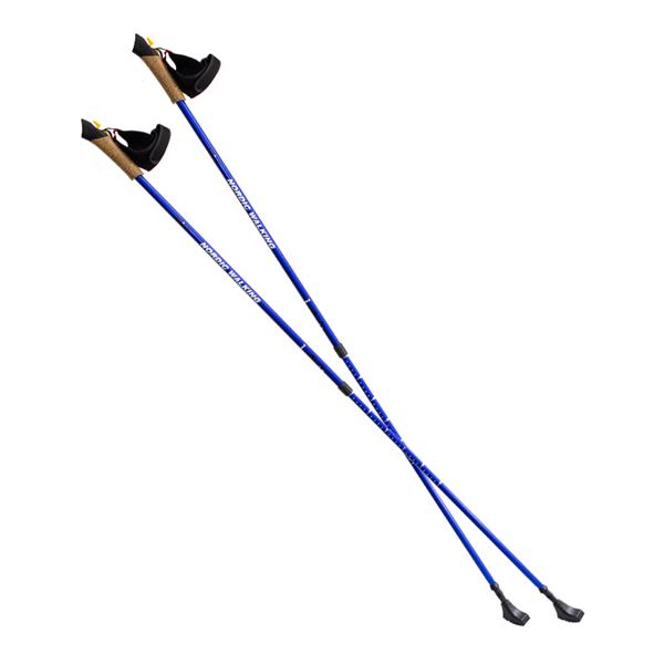 Nordic walking palice NILS EXTREME NW607 modré | DJK Sport B2B
