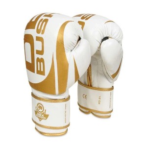 Boxerské rukavice DBX BUSHIDO DBD-B-2 v1 | DJK Sport B2B