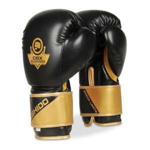 Boxerské rukavice DBX BUSHIDO B-2v10 | DJK Sport B2B