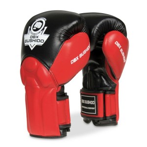 Boxerské rukavice DBX BUSHIDO BB1 | DJK Sport B2B