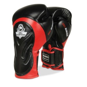 Boxerské rukavice DBX BUSHIDO BB4 | DJK Sport B2B