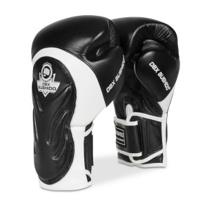 Boxerské rukavice DBX BUSHIDO BB5 | DJK Sport B2B
