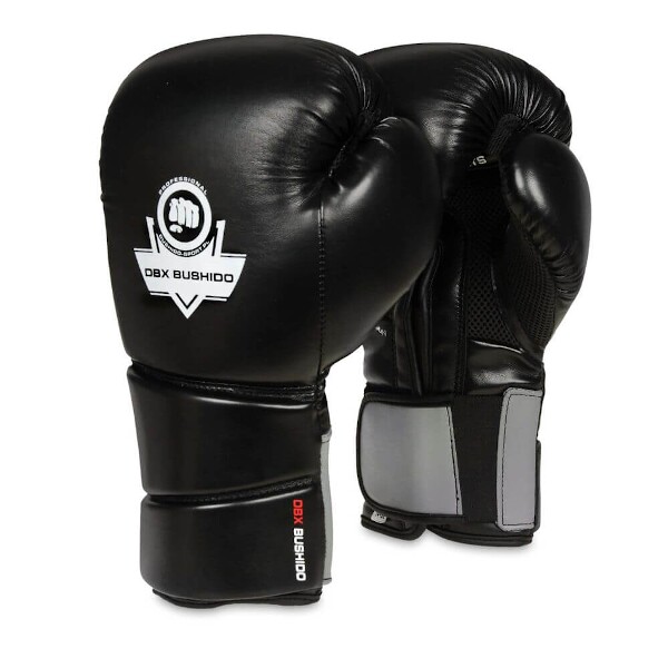 Boxerské rukavice DBX BUSHIDO B-2v9 | DJK Sport B2B