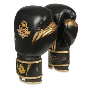 Boxerské rukavice DBX BUSHIDO B-2v13 | DJK Sport B2B