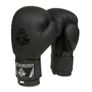 Boxerské rukavice DBX BUSHIDO B-2v12 | DJK Sport B2B
