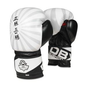 Boxerské rukavice DBX BUSHIDO B-2v8 | DJK Sport B2B