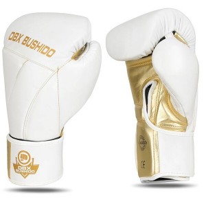 Boxerské rukavice DBX BUSHIDO B-2v19 | DJK Sport B2B