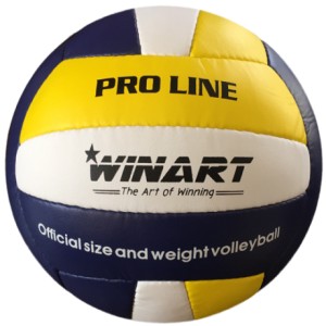 Volejbalová lopta Winart PRO LINE | DJK Sport B2B