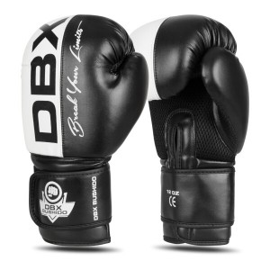 Boxerské rukavice DBX BUSHIDO B-2v20 | DJK Sport B2B