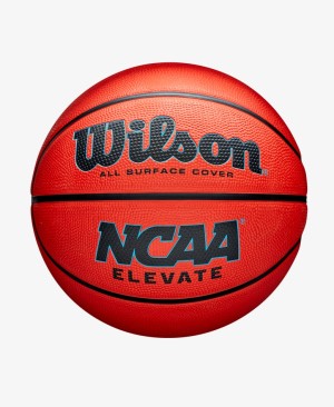 Basketbalová lopta Wilson 7 | DJK Sport B2B