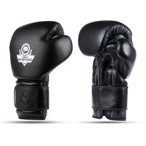 Boxerské rukavice DBX BUSHIDO B-ProFight | DJK Sport B2B