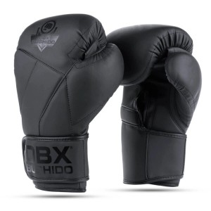 Boxerské rukavice DBX BUSHIDO B-2v15B | DJK Sport B2B