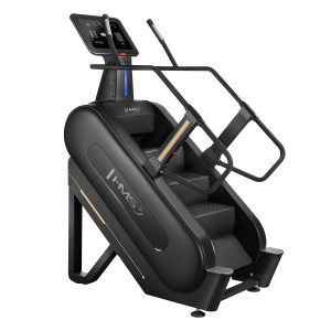 Fitness schody HMS ST03 | DJK Sport B2B