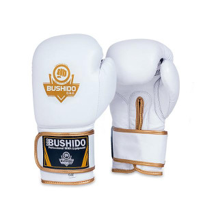 Boxerské rukavice DBX BUSHIDO DBD-B-2 | DJK Sport B2B