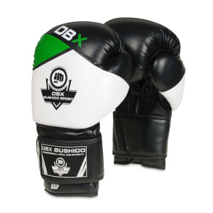 Boxerské rukavice DBX BUSHIDO B-2v6 | DJK Sport B2B