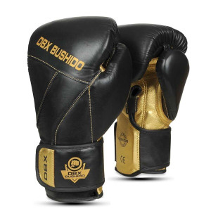 Boxerské rukavice DBX BUSHIDO B-2v14 | DJK Sport B2B