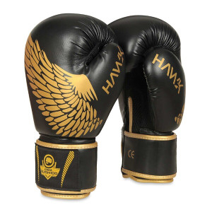 Boxerské rukavice DBX BUSHIDO B-2v17 | DJK Sport B2B