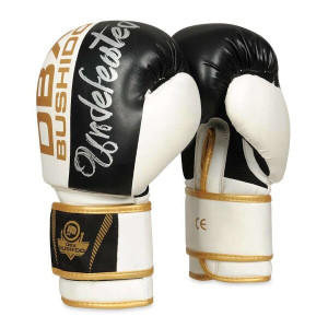 Boxerské rukavice DBX BUSHIDO B-2v16 | DJK Sport B2B