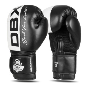 Boxerské rukavice DBX BUSHIDO B-2v20 | DJK Sport B2B