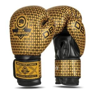 Boxerské rukavice DBX BUSHIDO B-2v23 | DJK Sport B2B